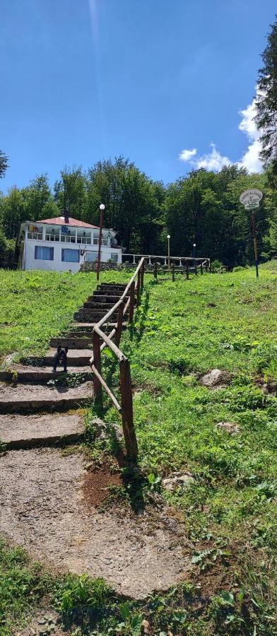 Cabana Cerbu Hotel Bozovici Eksteriør billede